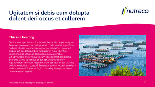 Nutreco PowerPoint page with image and text